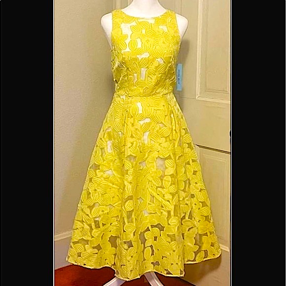 Antonio Melani Women’s Dress In Yellow